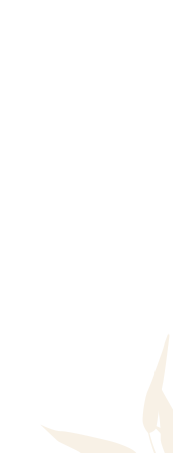 味 竹林のこだわり